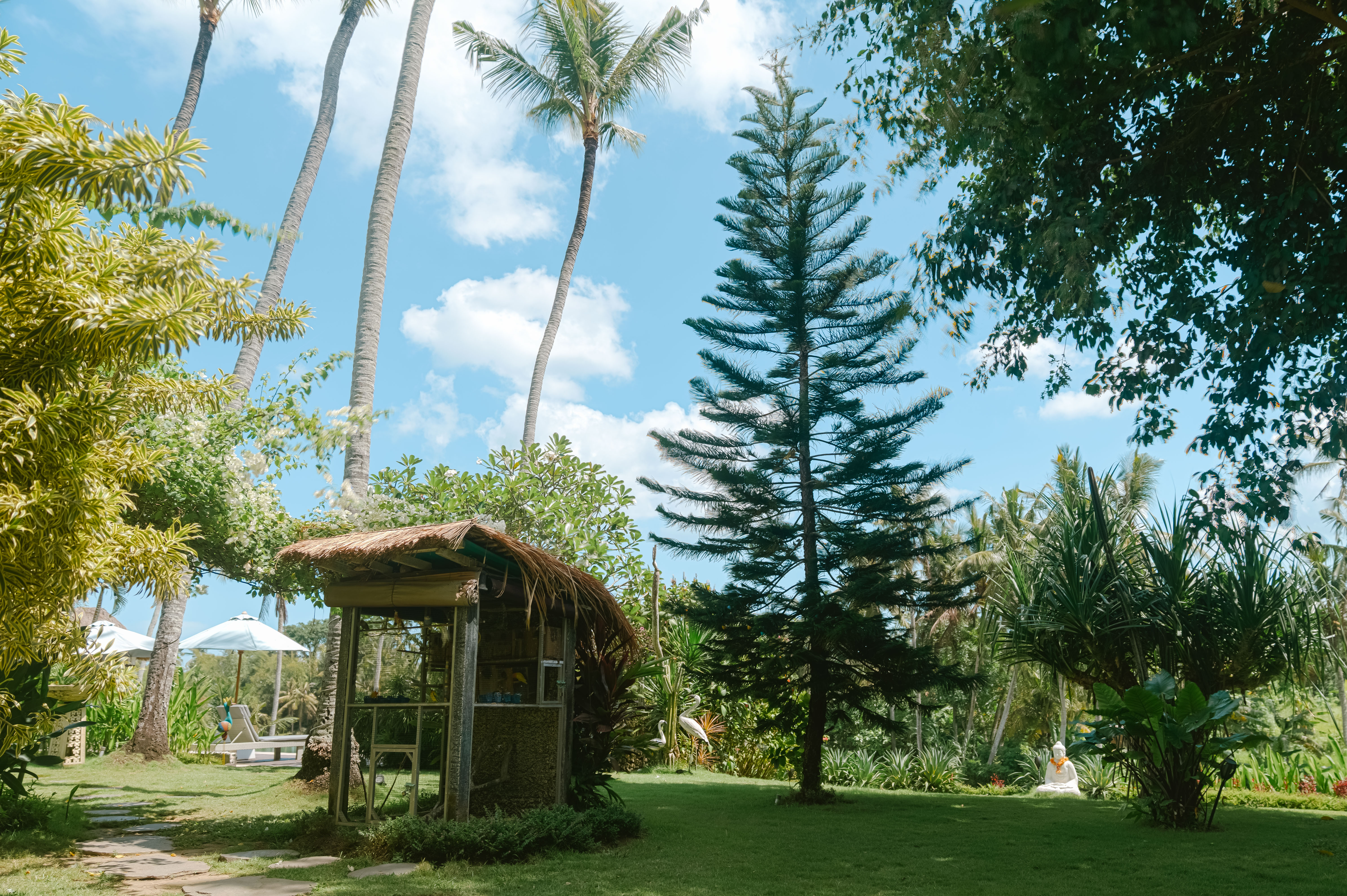 Yoga Practice Space in Bali Retreat