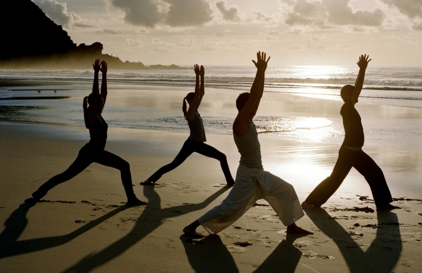 100 Hour Hatha & Vinyasa Yoga Teacher Training Course in Goa - Kundalini Yogashala