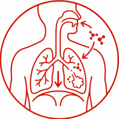 Breath anatomy icon