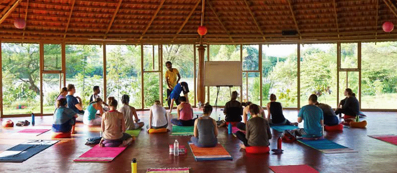 Best Yoga Teacher Training Schools in India