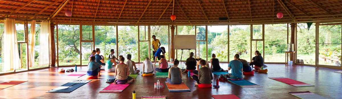 Best yoga teacher training schools in India for beginners and certified yoga courses