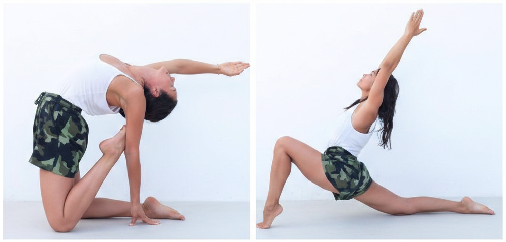 Difference Between Hatha and Vinyasa Yoga poses comparison for beginners