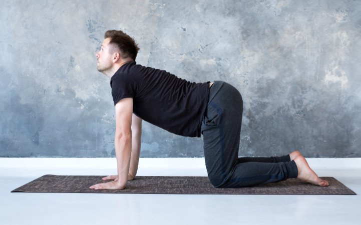 Cat Cow Pose Marjaryasana spine stretch Hatha yoga for beginners